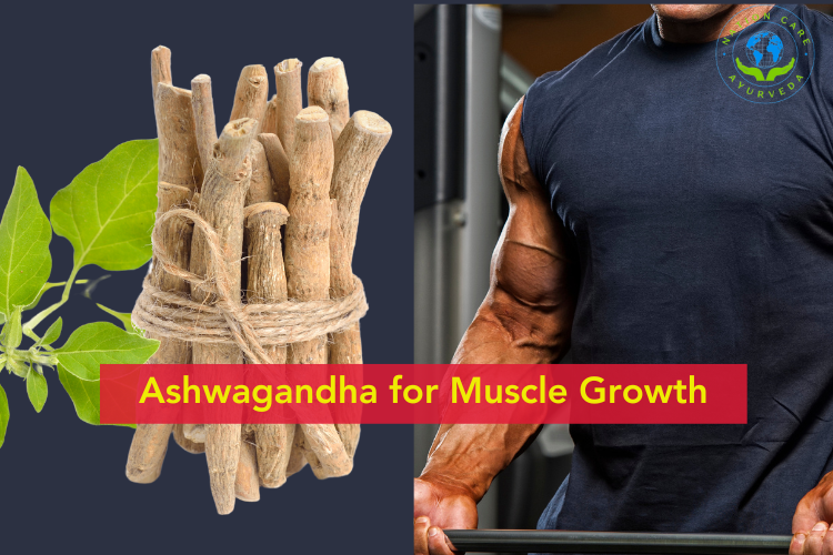 Ashwagandha for Muscle Growth